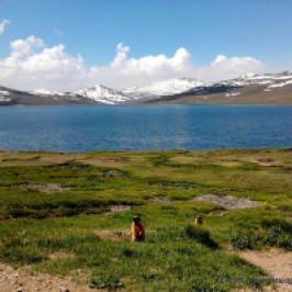 Deosai Lake or Sheosar Lake is located near the Chilim Valley on the Deosai Plains Gilgit-Baltistan Pakistan